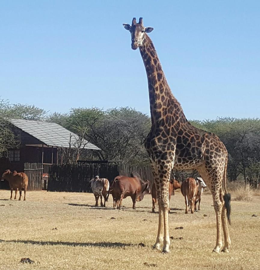 Mookgophong Grootgelukヴィラ エクステリア 写真